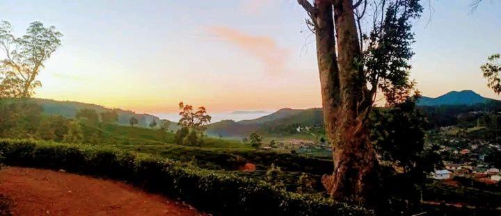 The Paulwood Cabana Home Stay Nuwara Eliya Exterior photo