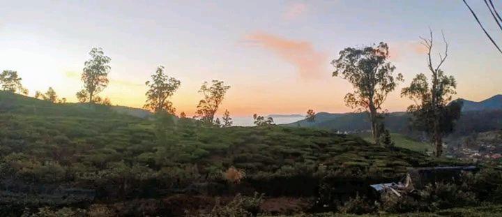 The Paulwood Cabana Home Stay Nuwara Eliya Exterior photo